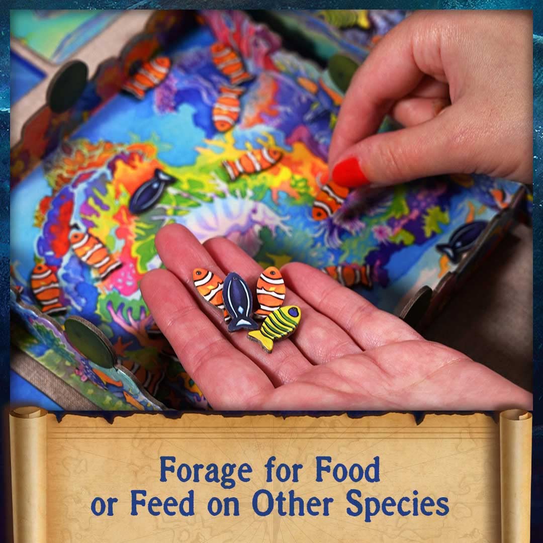 North Star Games Oceans deep-sea illustration cards set invites exploration during play.
