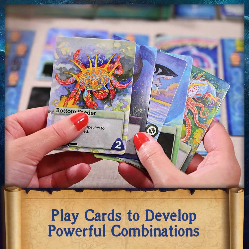North Star Games Oceans trait cards showcase diverse adaptations for unique species each session.