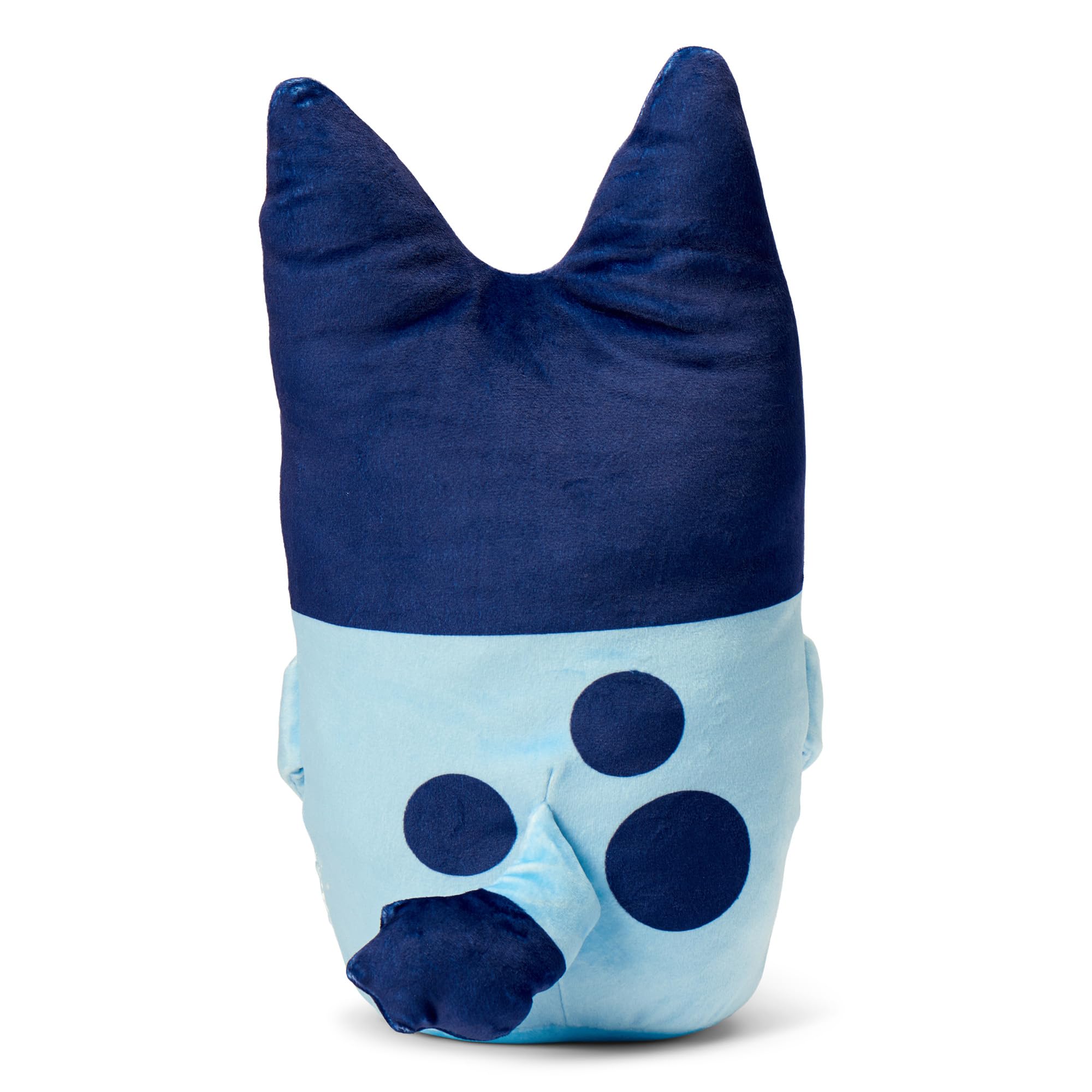 Northwest Bluey Cloud Hugger Pillow fabric detail highlights silky shell