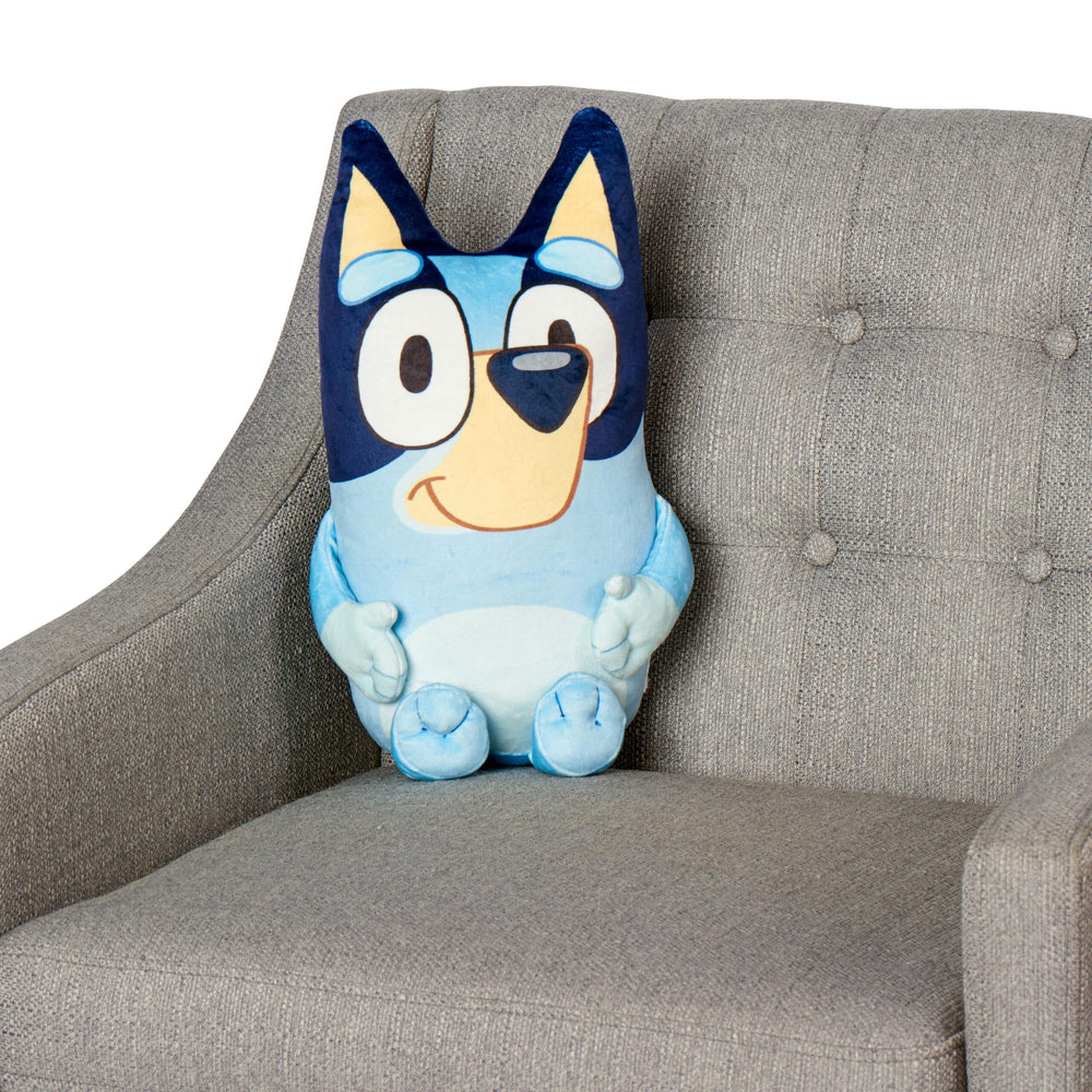 Northwest Bluey Cloud Hugger Pillow packaged for gift-ready presentation