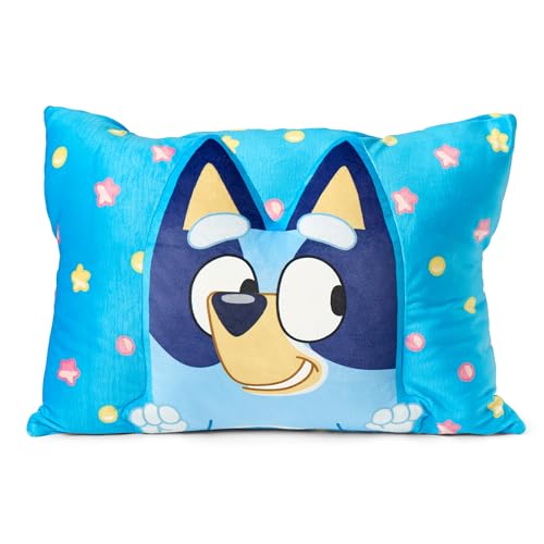 Northwest Bluey Party Pups 3D Bluey pillow nap companion