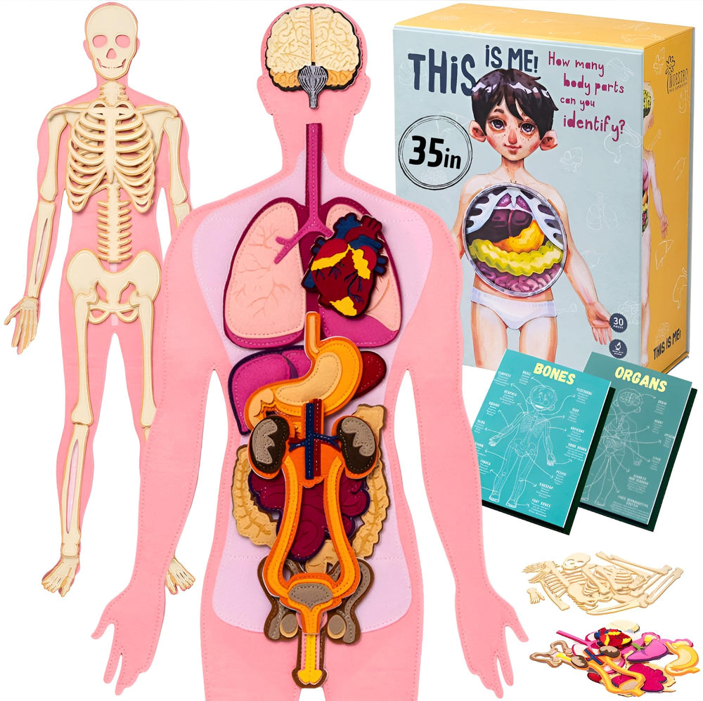 NUHICO This is Me! large felt body with detachable organs for hands-on anatomy exploration