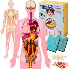 NUHICO This is Me! large felt body with detachable organs for hands-on anatomy exploration