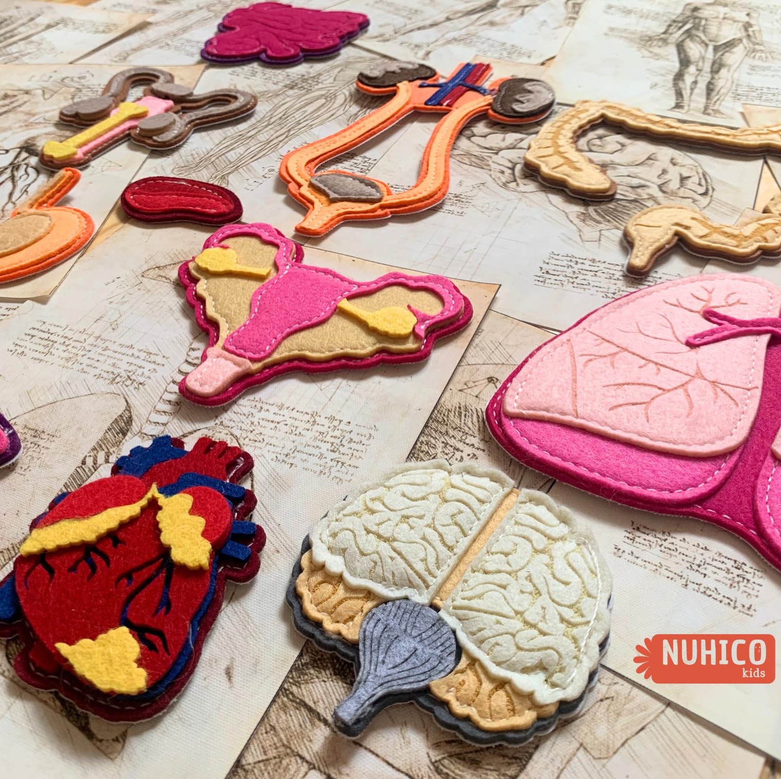 NUHICO This is Me! ideal for homeschool and classroom science activities
