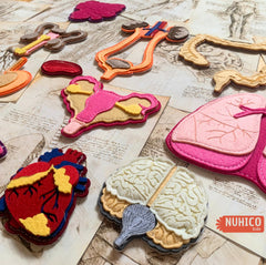 NUHICO This is Me! ideal for homeschool and classroom science activities