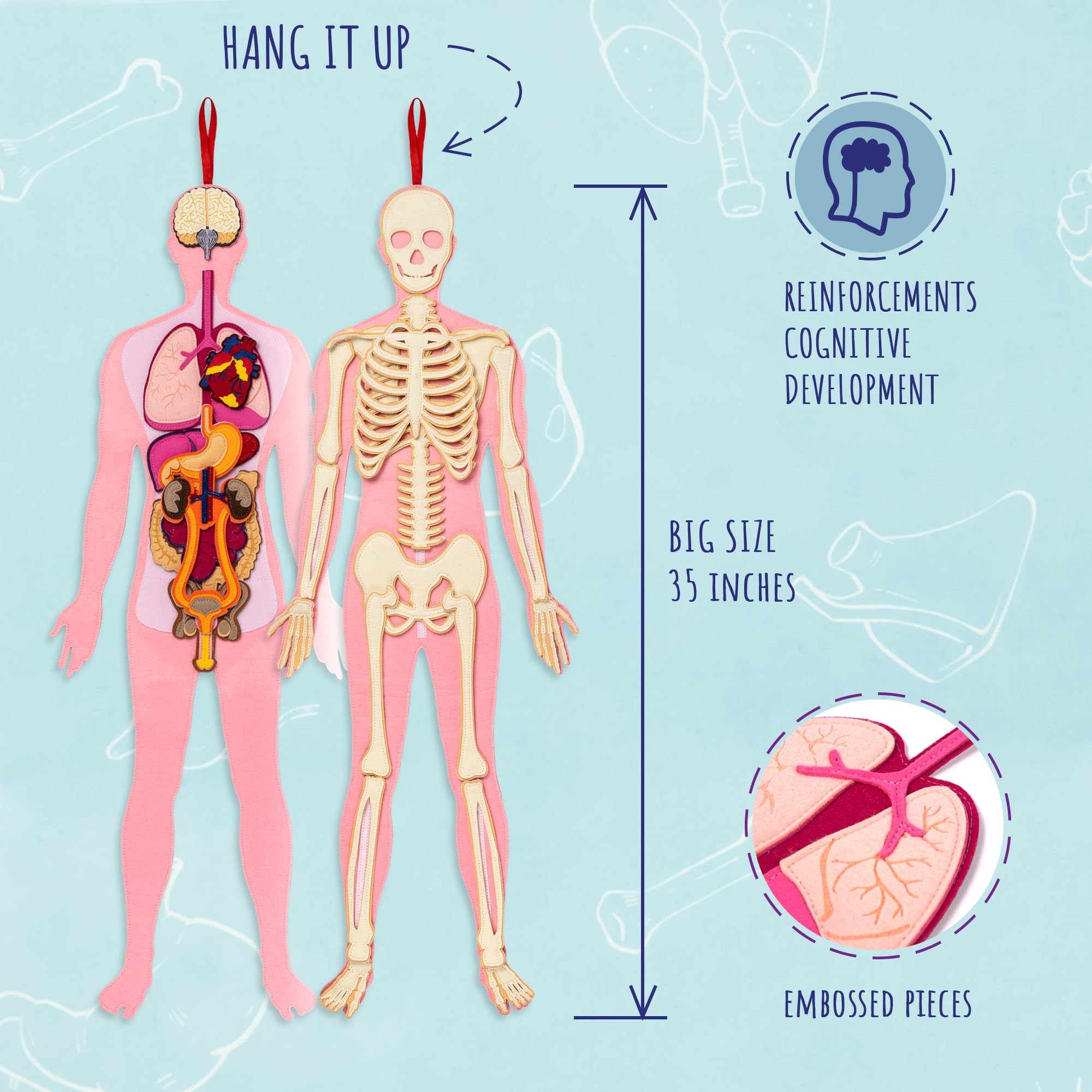 NUHICO This is Me! pairs well with STEM kits and anatomy books