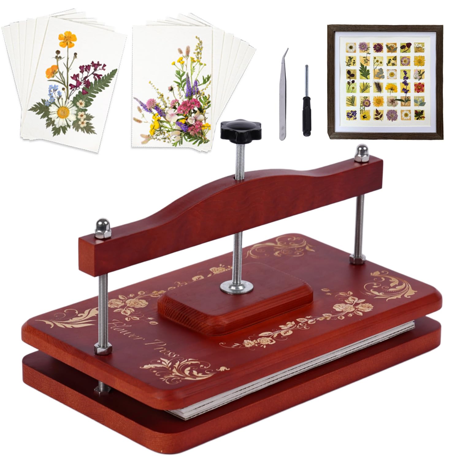 Nuvograin large flower press kit with premium red pine for durable botanical preservation.