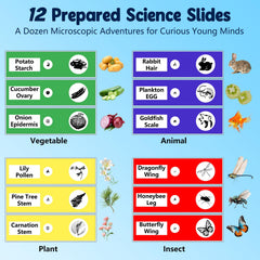 Odatay includes 12 prepared slides for immediate exploration.