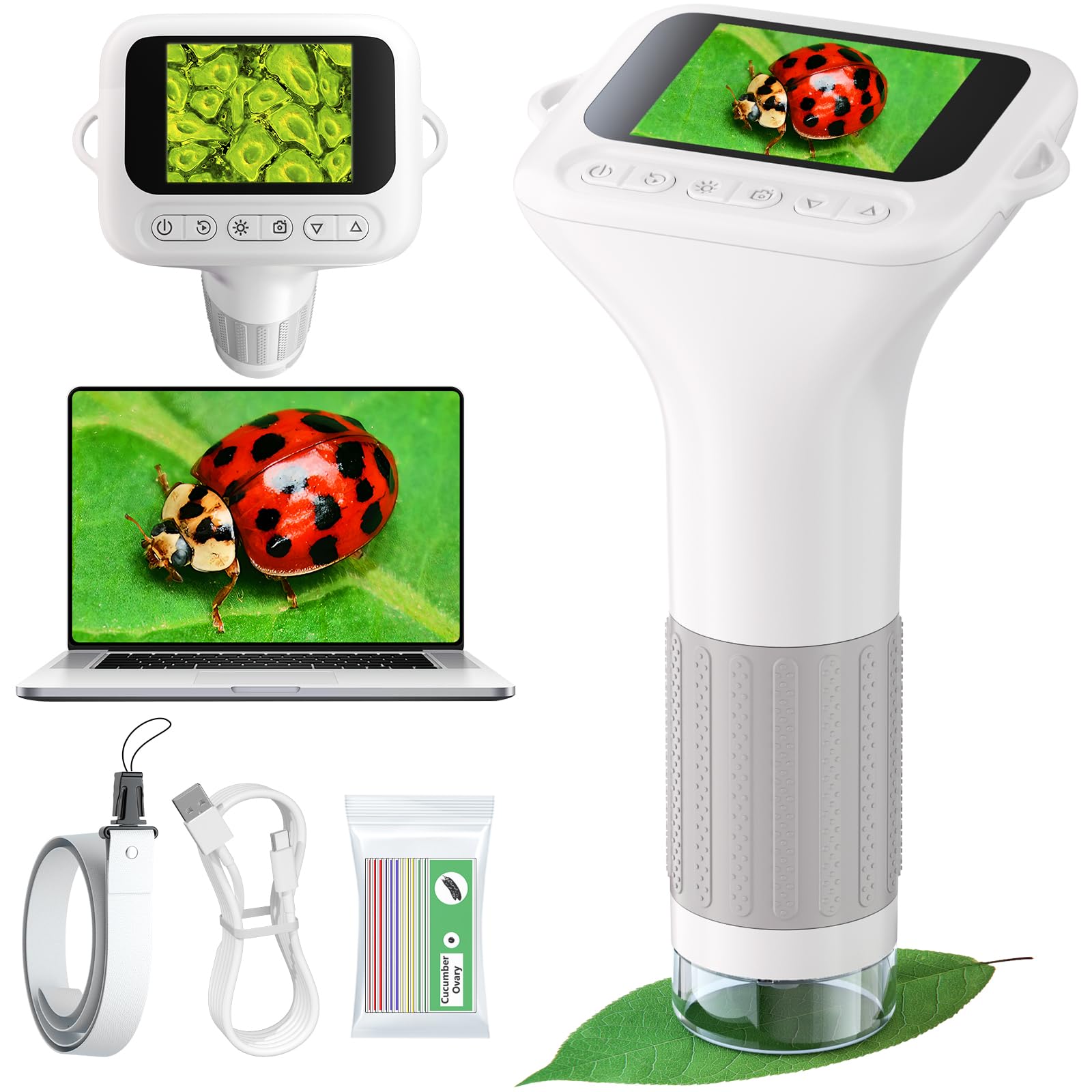 Odatay Kids Microscope zoom 100x-1000x reveals insect textures for curious learners.