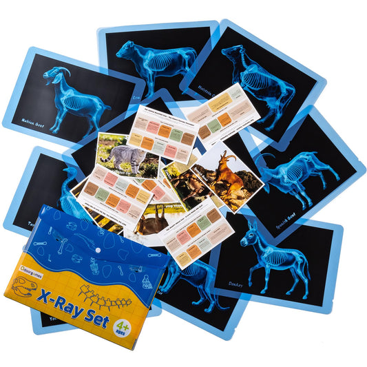 Odoorgames farm animal xrays pack with clear skeletal visuals for science exploration.