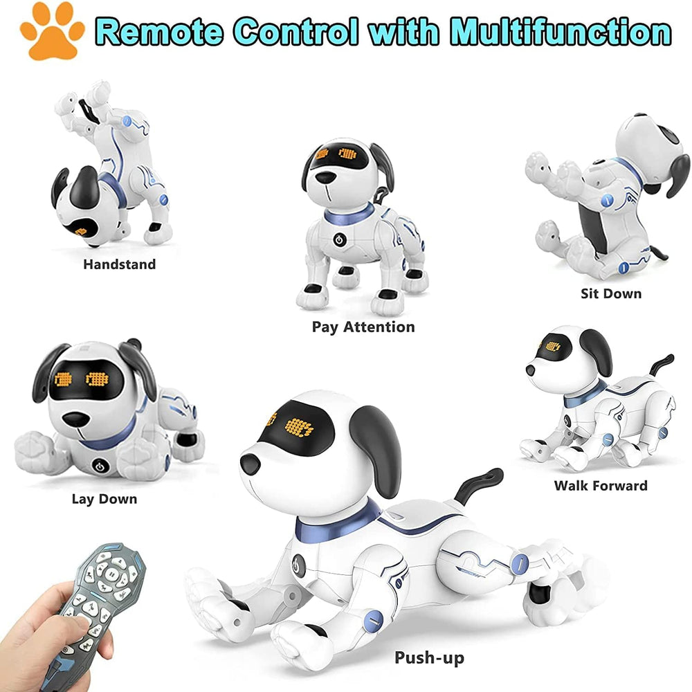 OKK Robot Dog dances with music for entertaining performances.
