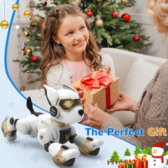 okk Robot Dog safety materials highlight non-toxic construction for kids.