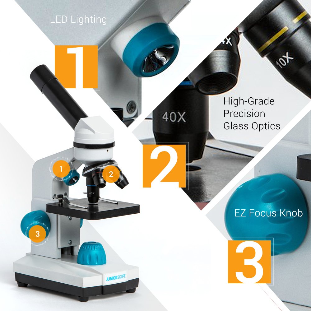 Omano Juniorscope helps study leaves and insects with high clarity