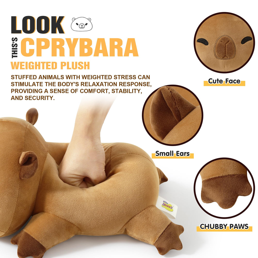 Onsoyours capybara plush in car or school setting, kid-friendly comfort.
