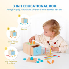 OOK Montessori Toys 3in1 educational box fosters color matching and problem solving