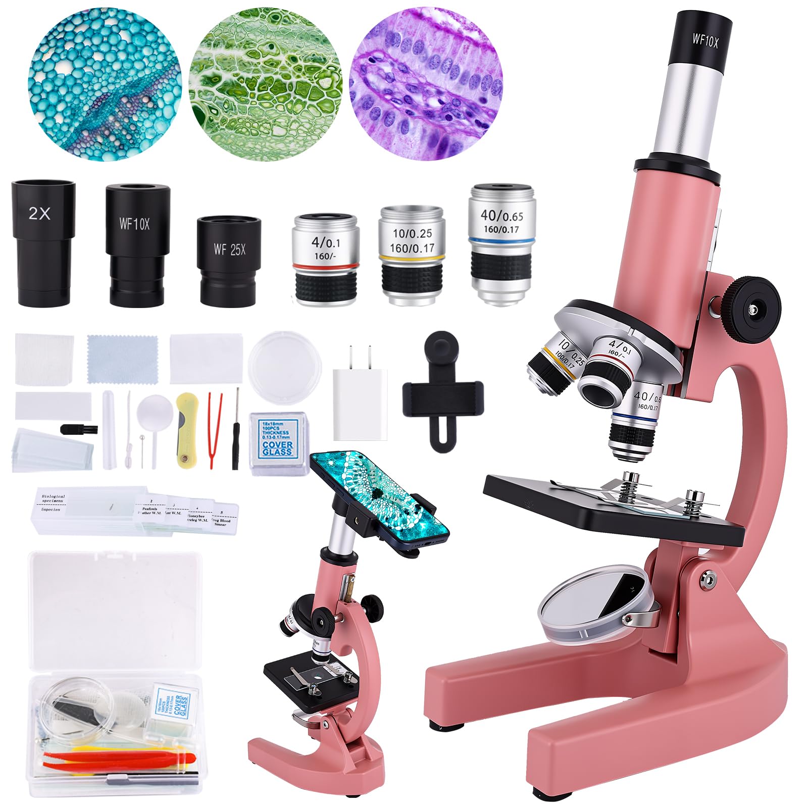 OOZSTAR microscope with LED fill light for bright observations in dim classrooms.