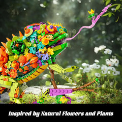 OQMI chameleon assembly instructions guide easy setup for adults and teens.