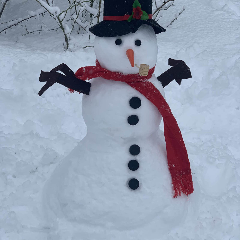 Orgrimmar Snowman eyes and button pegs create friendly, expressive features.