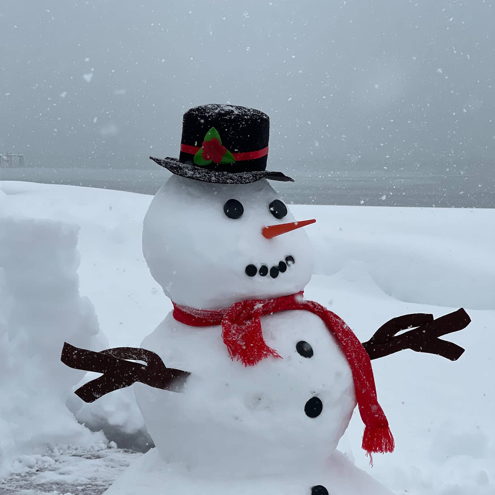 Orgrimmar Snowman mouth pegs offer versatile expressions for creative kits.