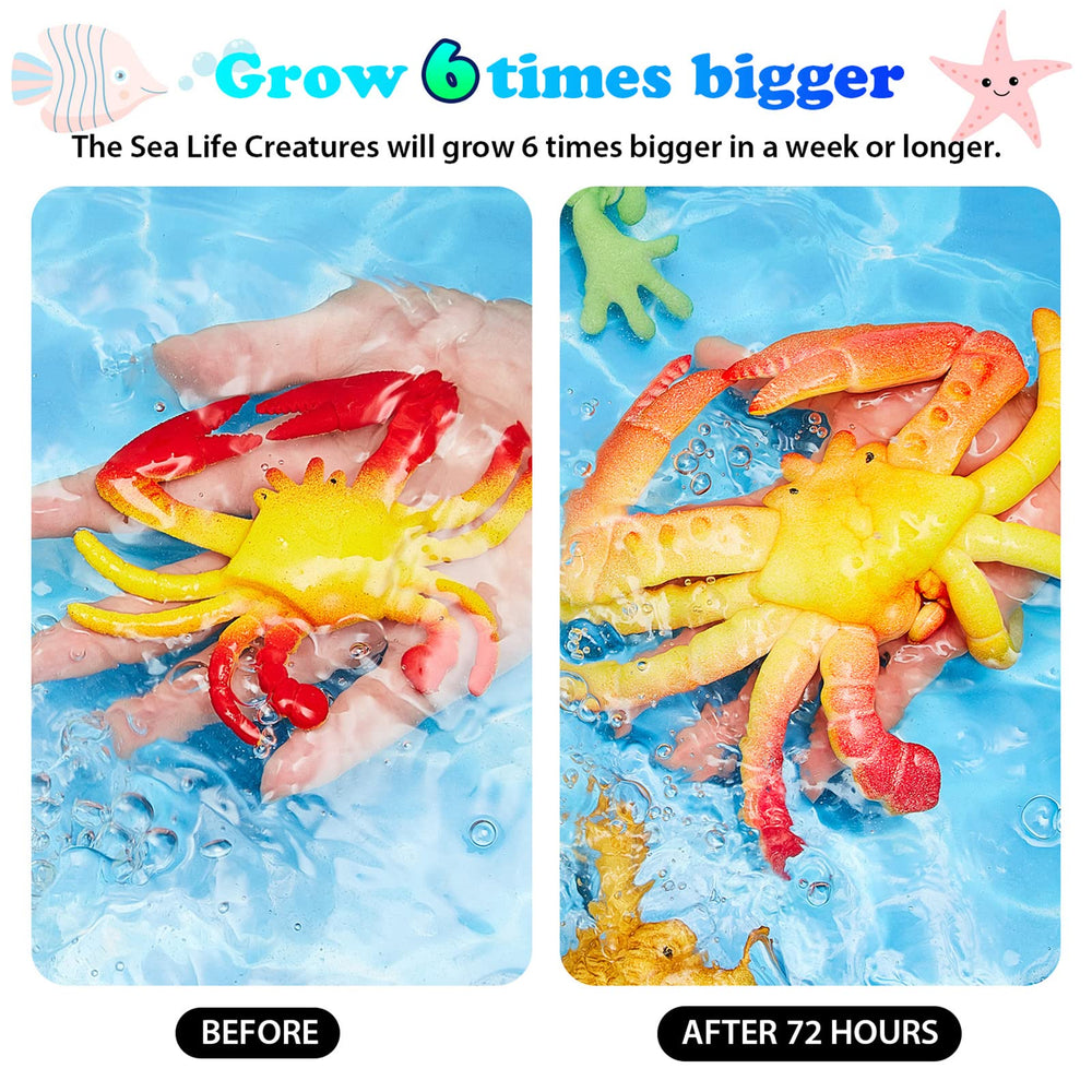 Outus growing animal elephant grows larger in water, a tactile delight.