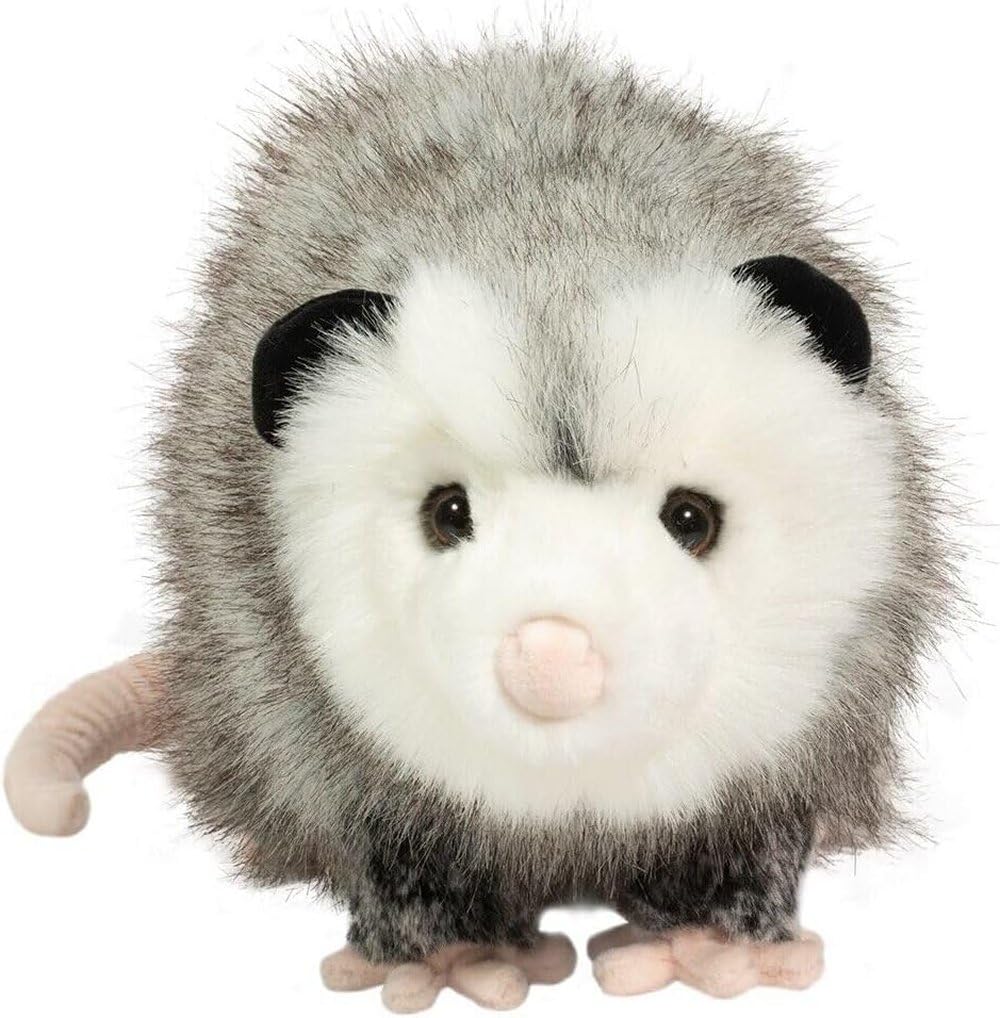 Ozzy DLux Possum face closeup shows soft fur and friendly eyes.