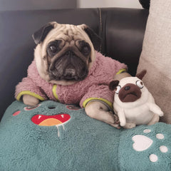 PASHMAIRE pug plush cuddle companion for car or office.
