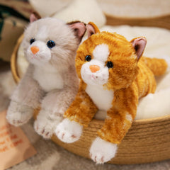 PEACH CAT hug-ready plush for bedtime reading and cozy TV time