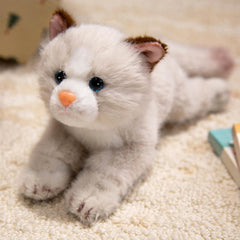 PEACH CAT realistic kitten plush face, cuddly companion for kids