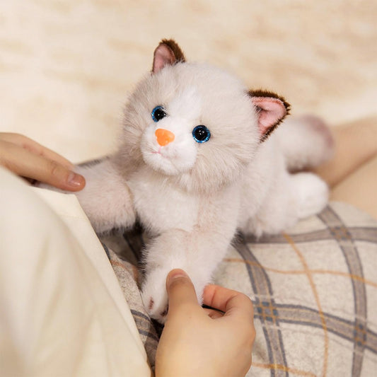 PEACH CAT soft plush fur texture, ideal for comforting hugs