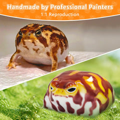 Peledic Taba Squishy Desert Rain Frog texture close-up highlights skin detail