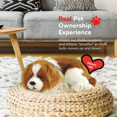 Perfect Petzzz 100% synthetic fur reduces allergy concerns for family-friendly play