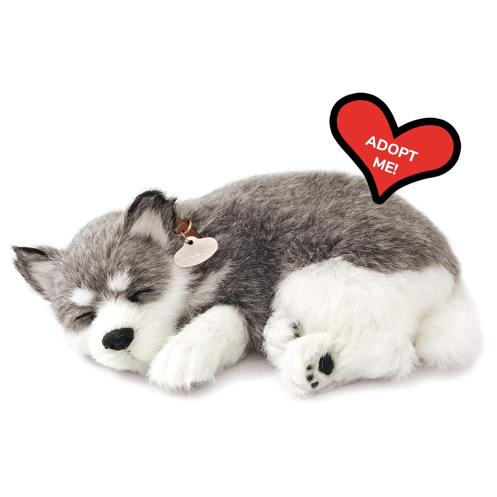 Perfect Petzzz Alaskan Husky demonstrates breathing motion for lifelike interaction.