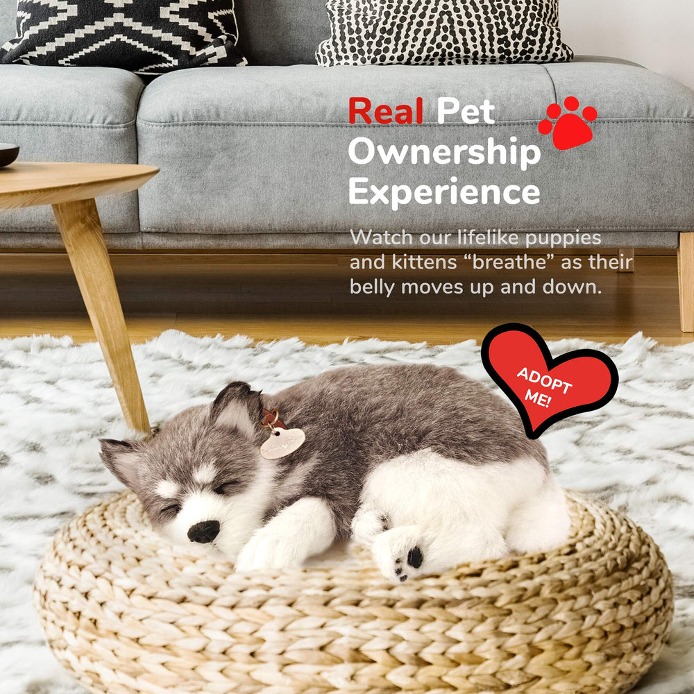 Compact size of Perfect Petzzz Alaskan Husky fits small spaces nicely.