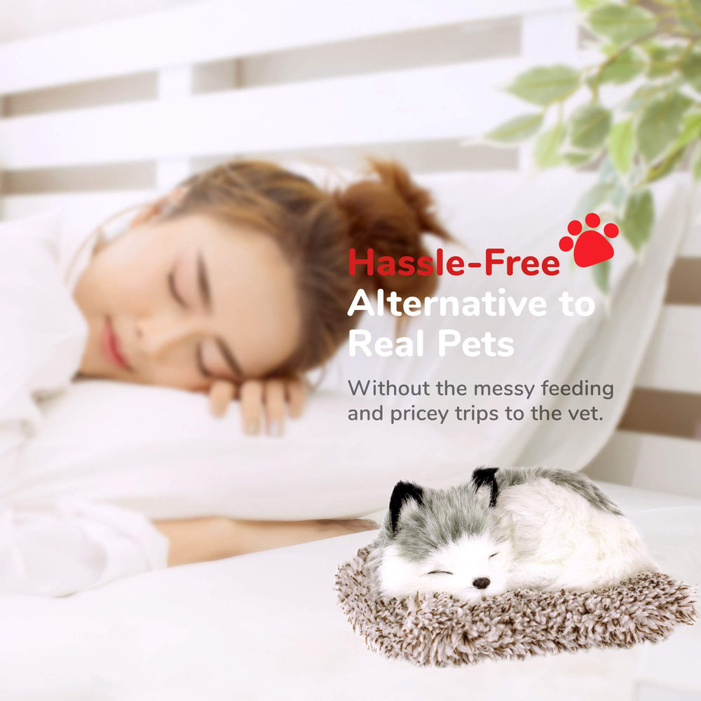 Perfect Petzzz Minis Alaskan Husky in action offers a low maintenance companionship option