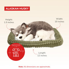 Alaskan Husky in a lifelike pose for companionship with Perfect Petzzz.