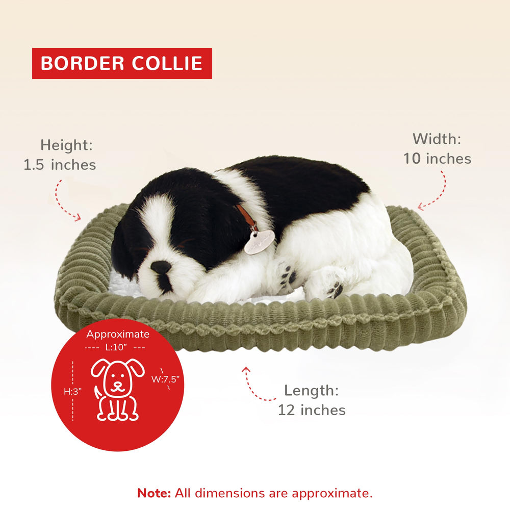 Perfect Petzzz Border Collie battery-powered interaction in use
