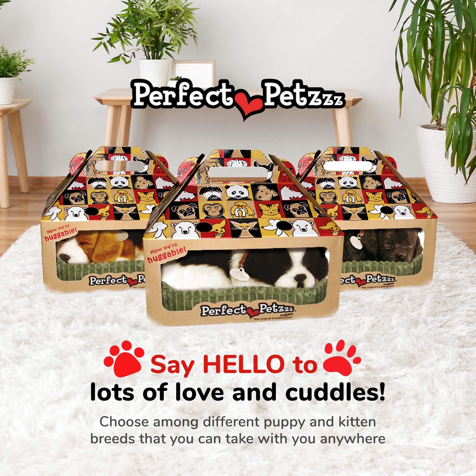Perfect Petzzz Border Collie compact size display on shelf