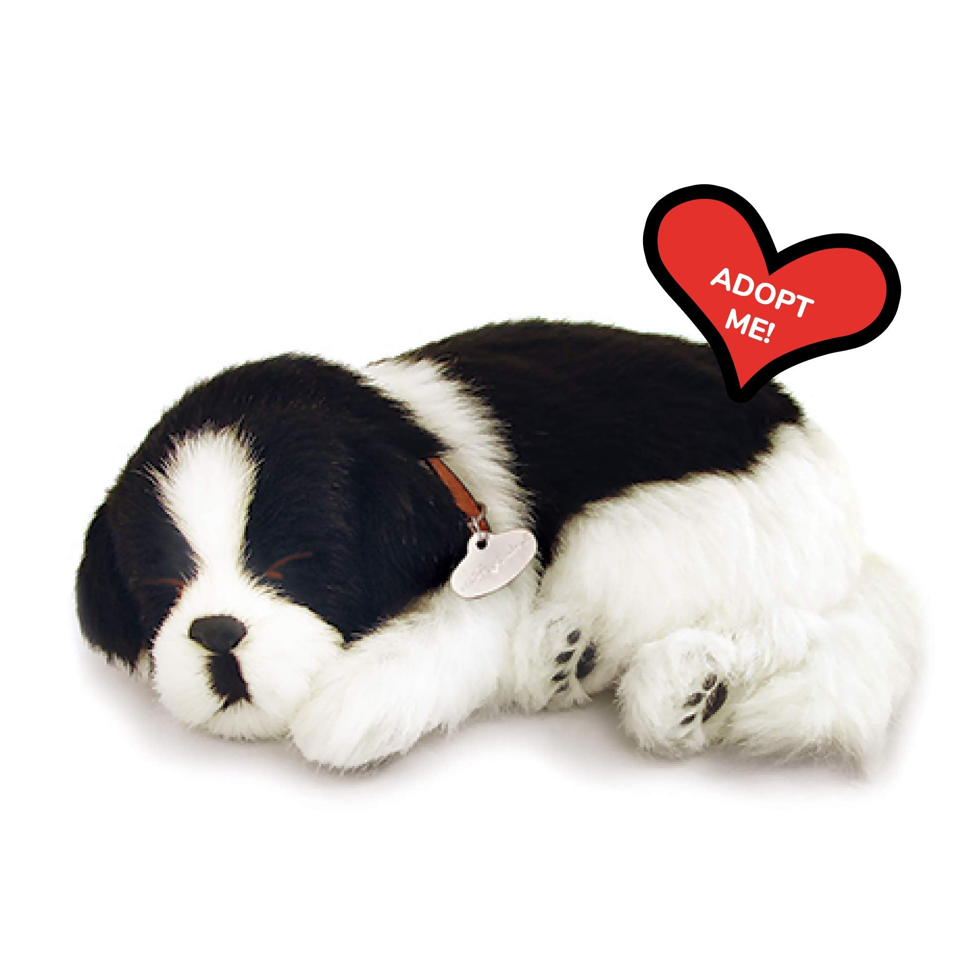 Perfect Petzzz Border Collie detailed face for a lifelike companion