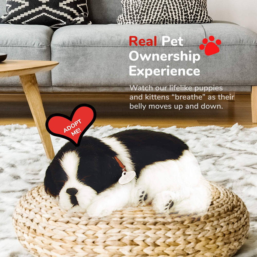 Perfect Petzzz Border Collie lifelike pose for display and play