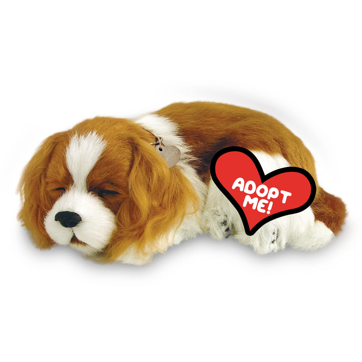 Perfect Petzzz breathing Cavalier face demonstrates lifelike motion for comforting company