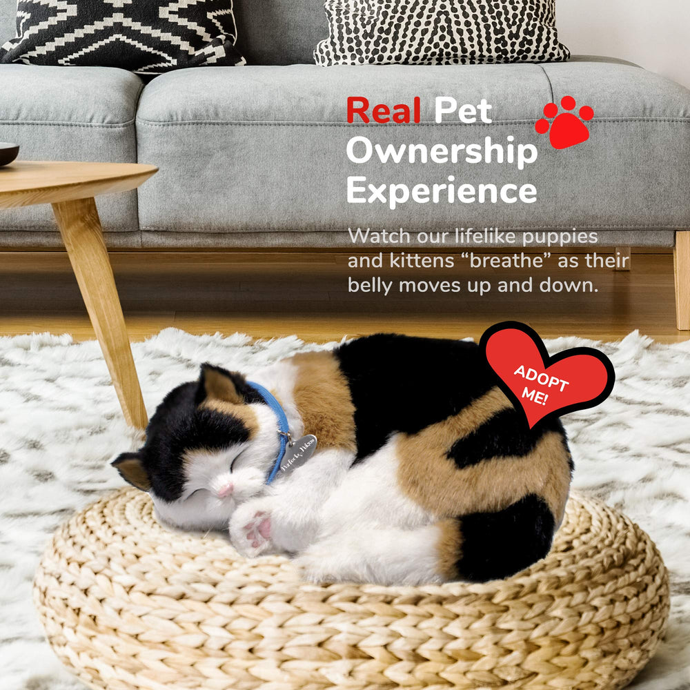 Perfect Petzzz Calico Cat features 100% synthetic fur to reduce allergy concerns.