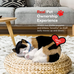 Perfect Petzzz Calico Cat features 100% synthetic fur to reduce allergy concerns.
