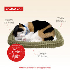 Perfect Petzzz Calico Cat highlights a hassle-free, mess-free pet experience.