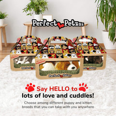 Perfect Petzzz Cavalier King Charles in a cozy scene shows kid-friendly companionship for ages 3 and up