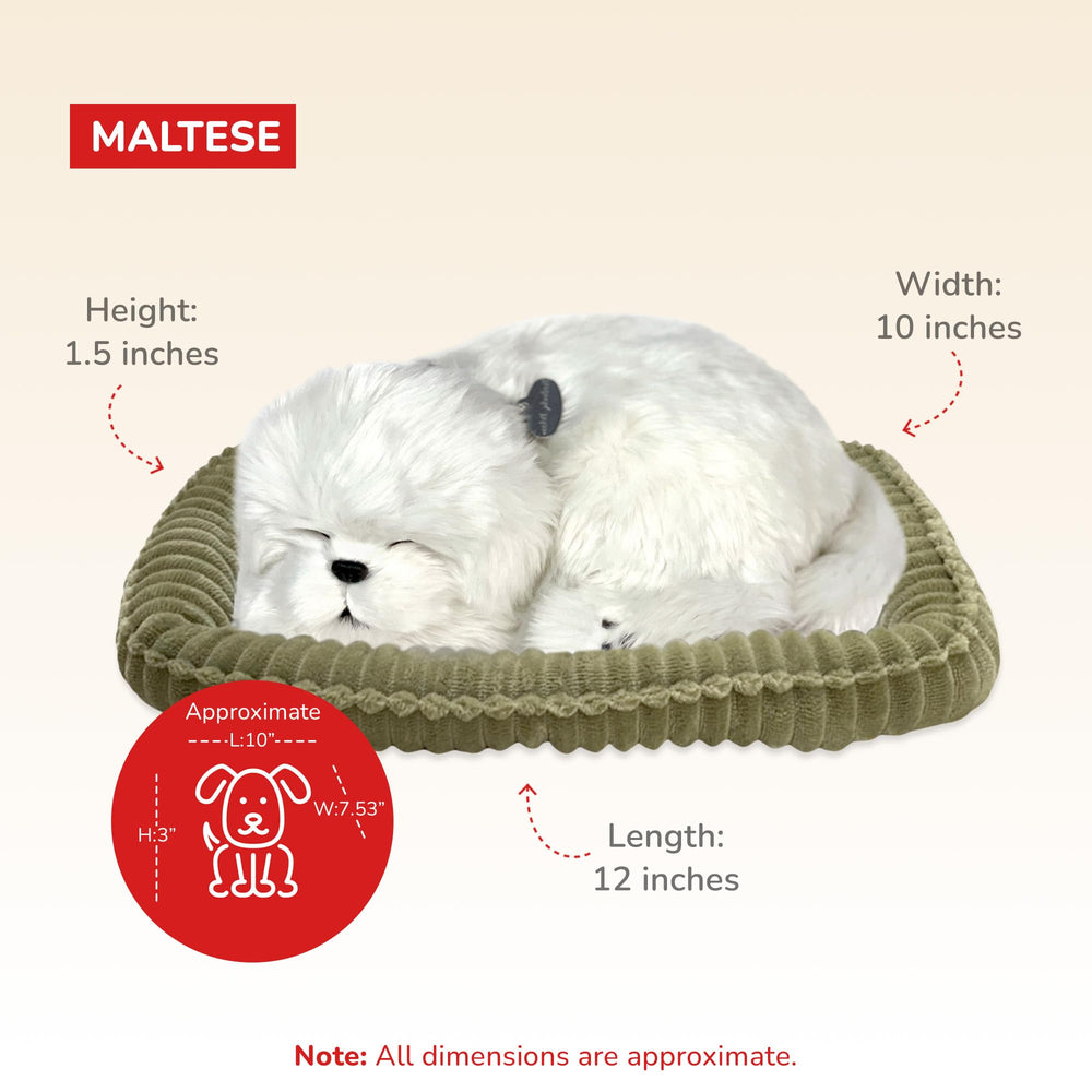 Perfect Petzzz Maltese battery-operated toy designed for quiet, maintenance-free play.
