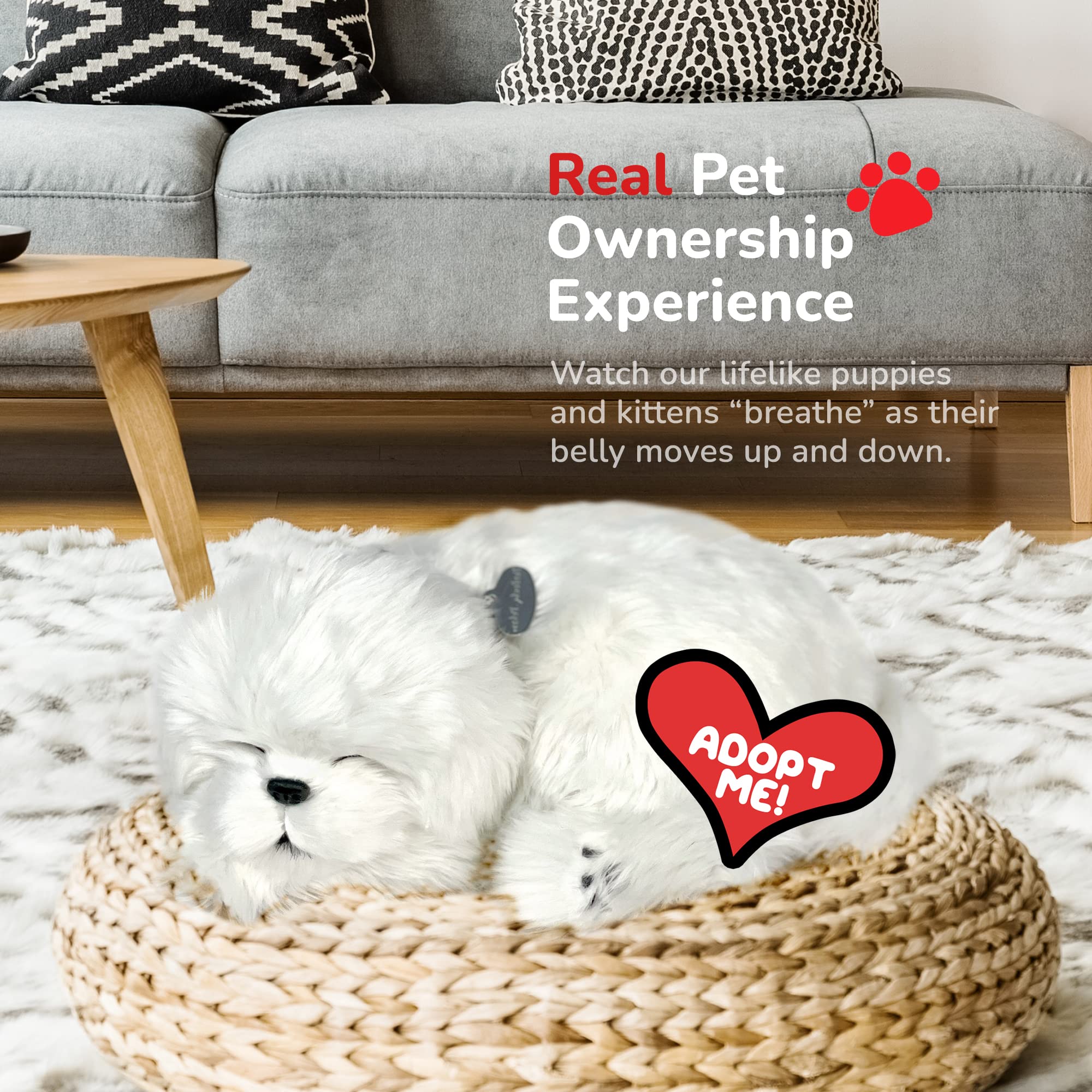 Perfect Petzzz Maltese size 10 by 7.5 by 3.5 inches for easy display.