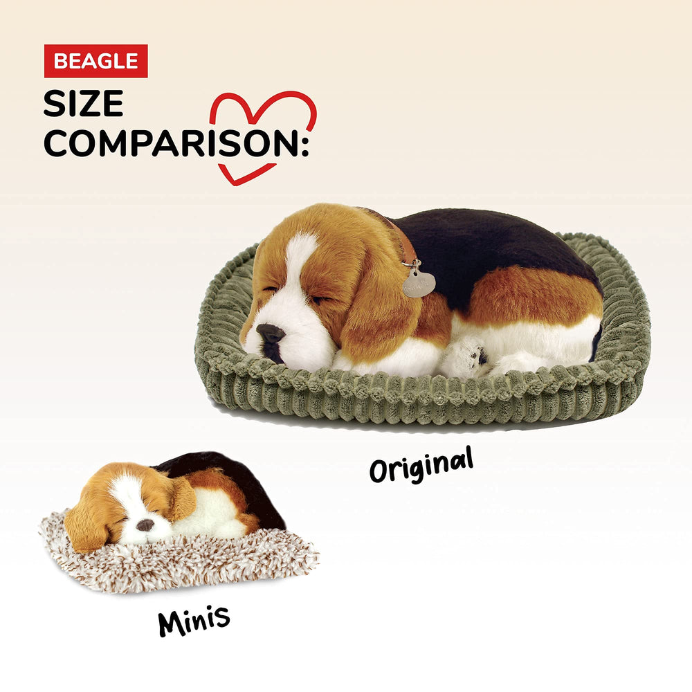 Perfect Petzzz Mini Beagle suitable for seniors and children alike.