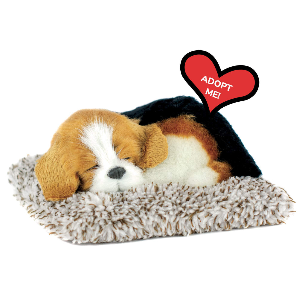 Perfect Petzzz Mini Beagle bed scene for cozy companionship.