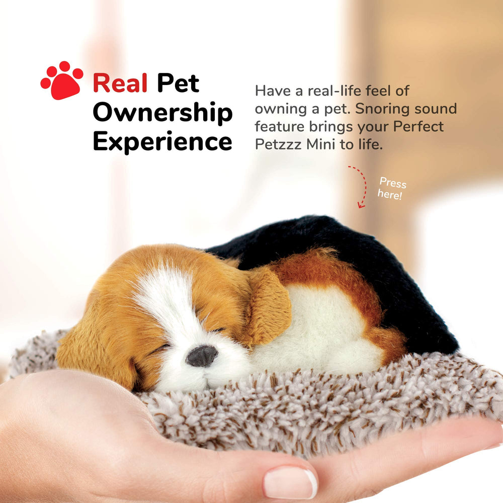 Perfect Petzzz Mini Beagle synthetic fur designed for gentle, non-allergenic use.