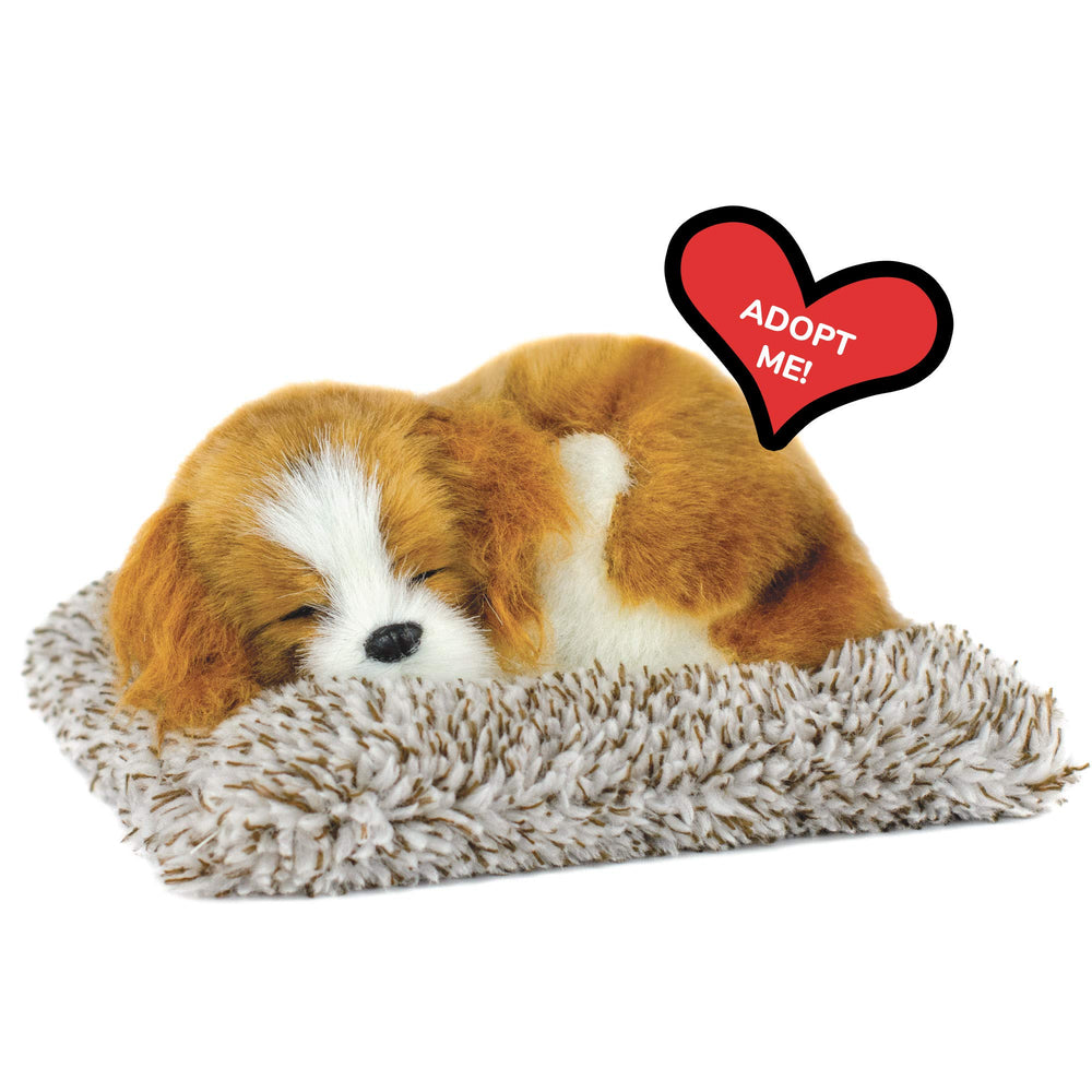 Perfect Petzzz mini Cavalier bed and pet provide a cozy, low-maintenance cuddle for all ages.